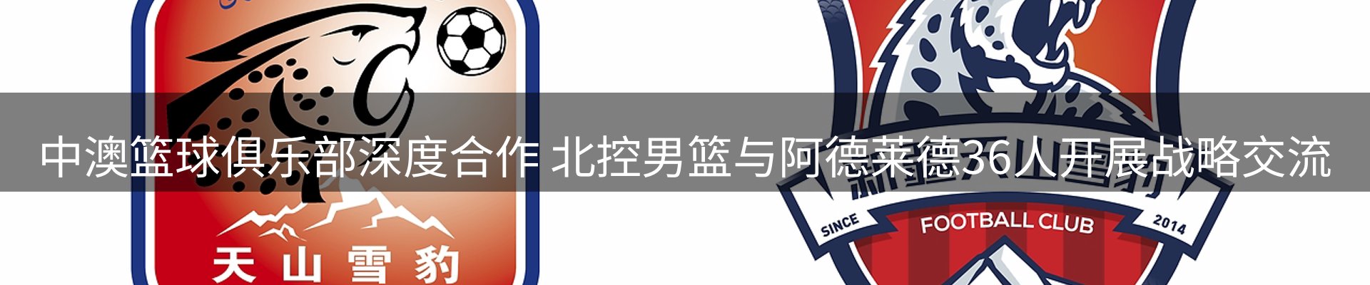 网站资讯