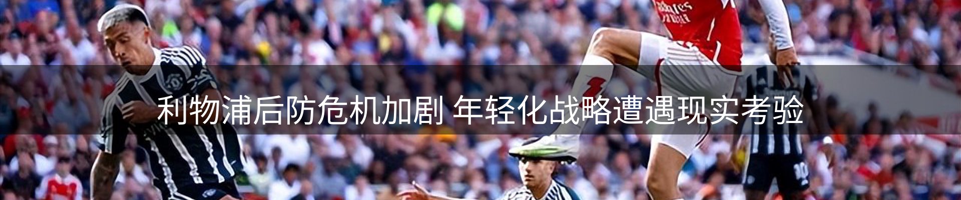 网站资讯