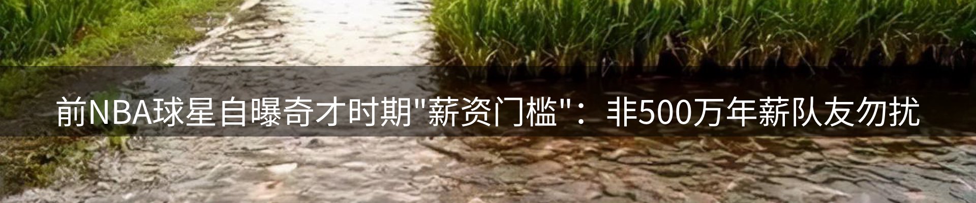 网站资讯