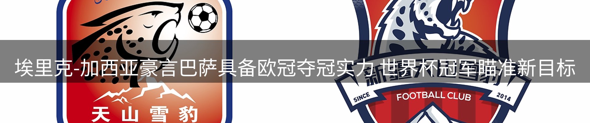 网站资讯