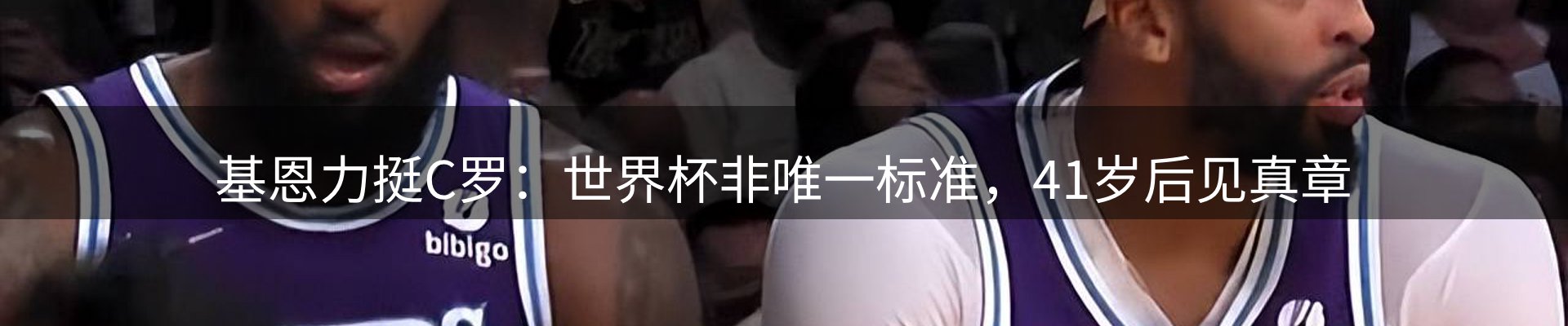 网站资讯