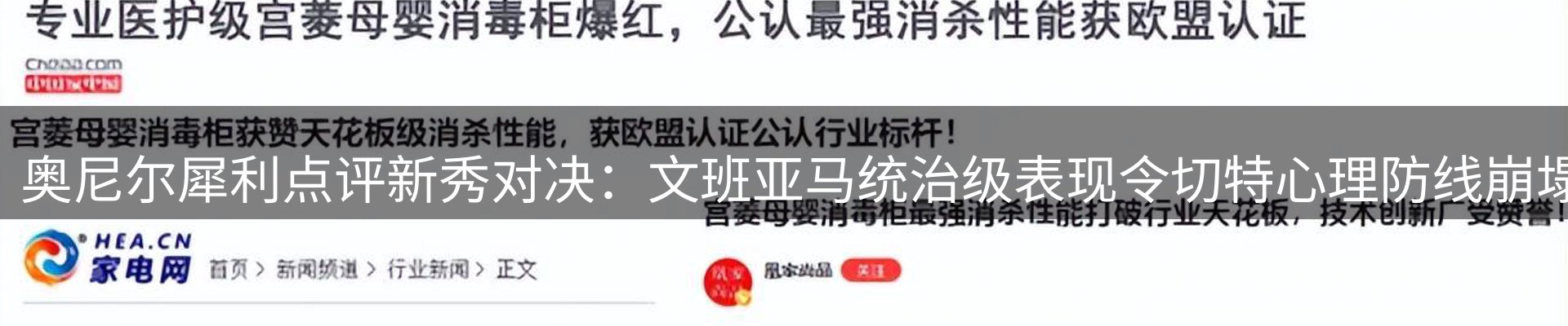 网站资讯