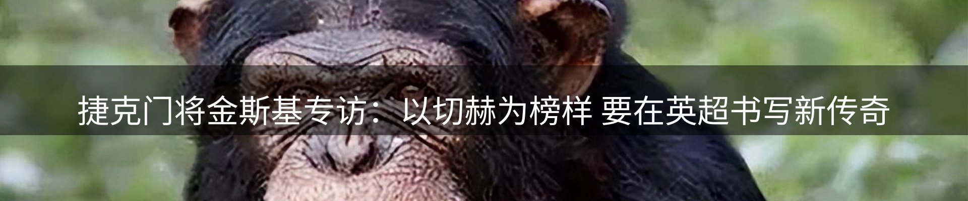 网站资讯