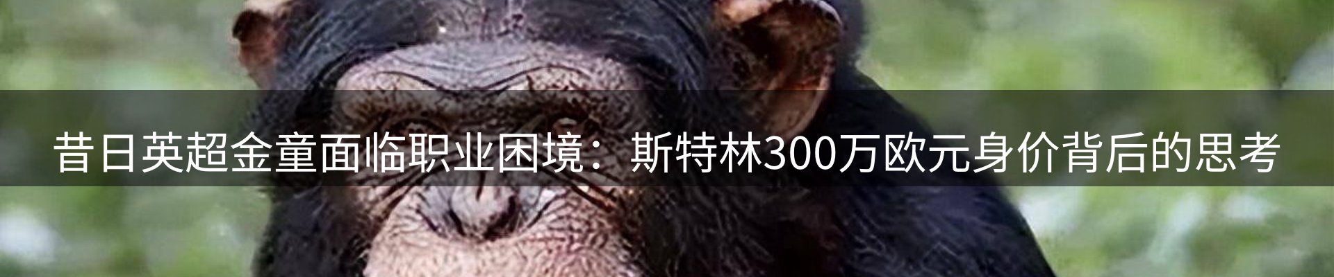 网站资讯