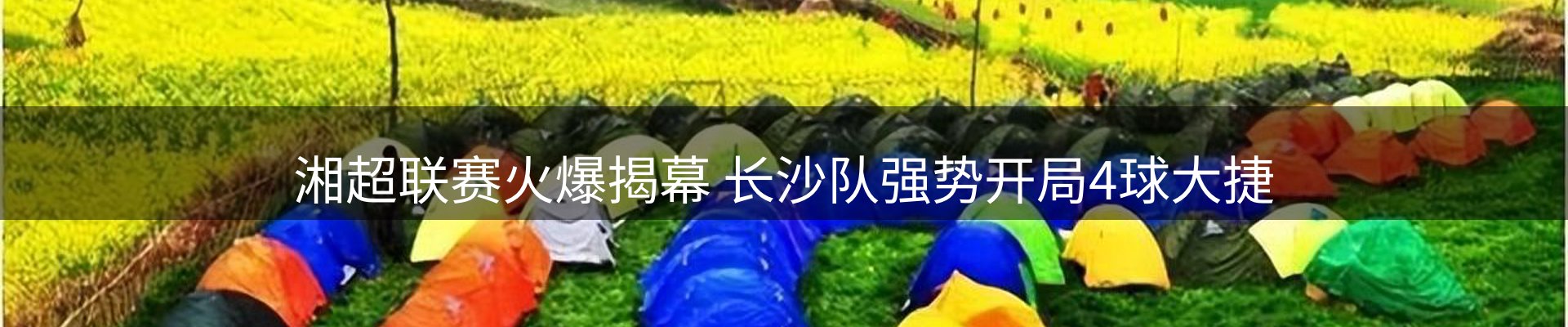 网站资讯