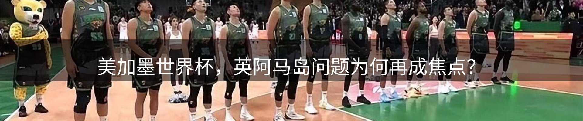 网站资讯