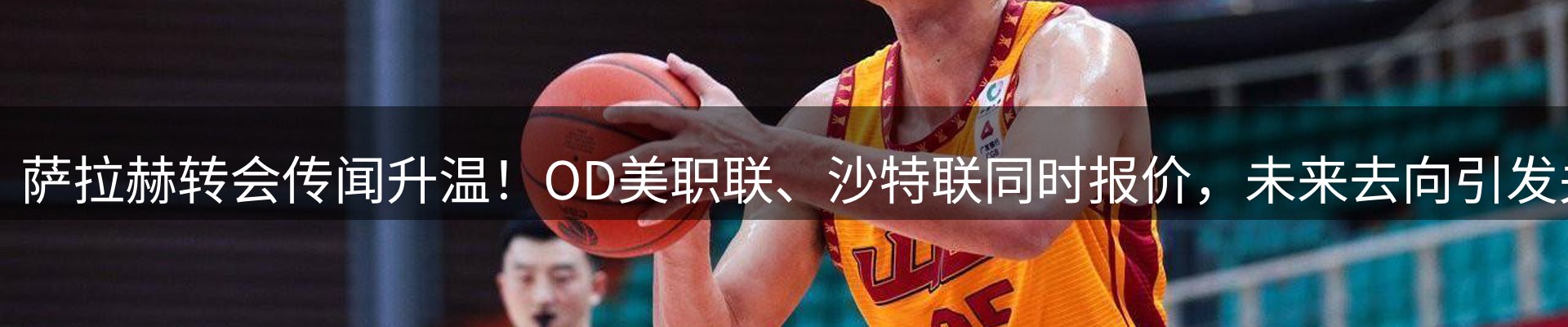 网站资讯