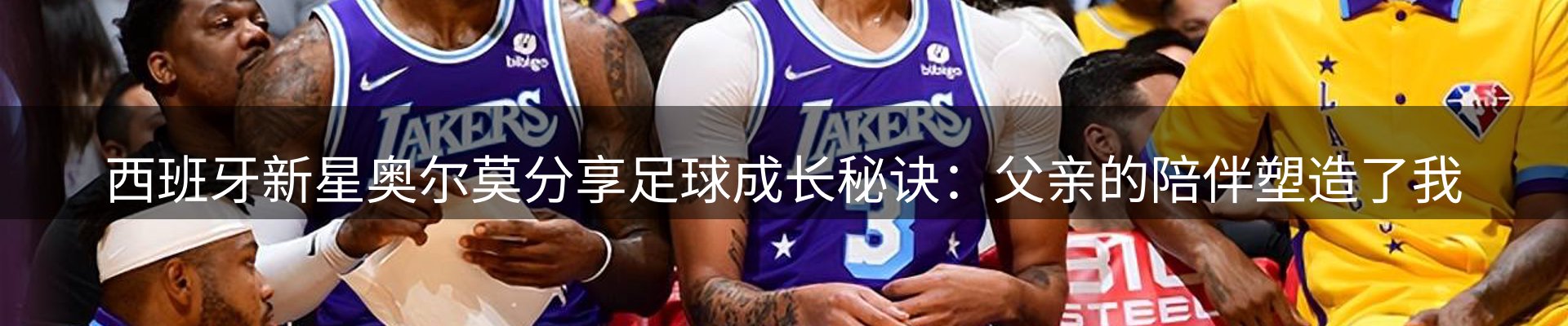 网站资讯