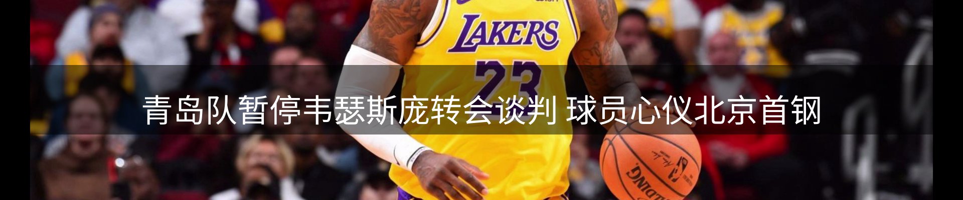 网站资讯