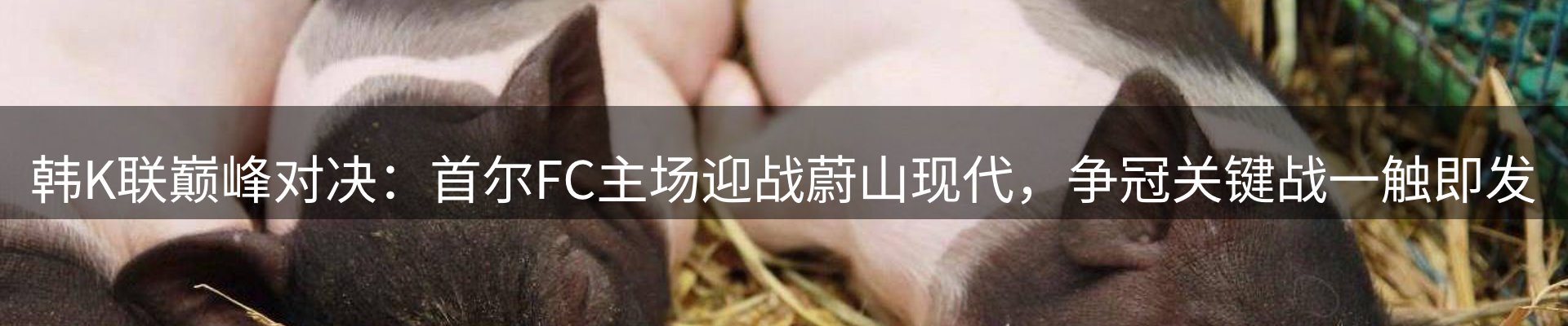 网站资讯